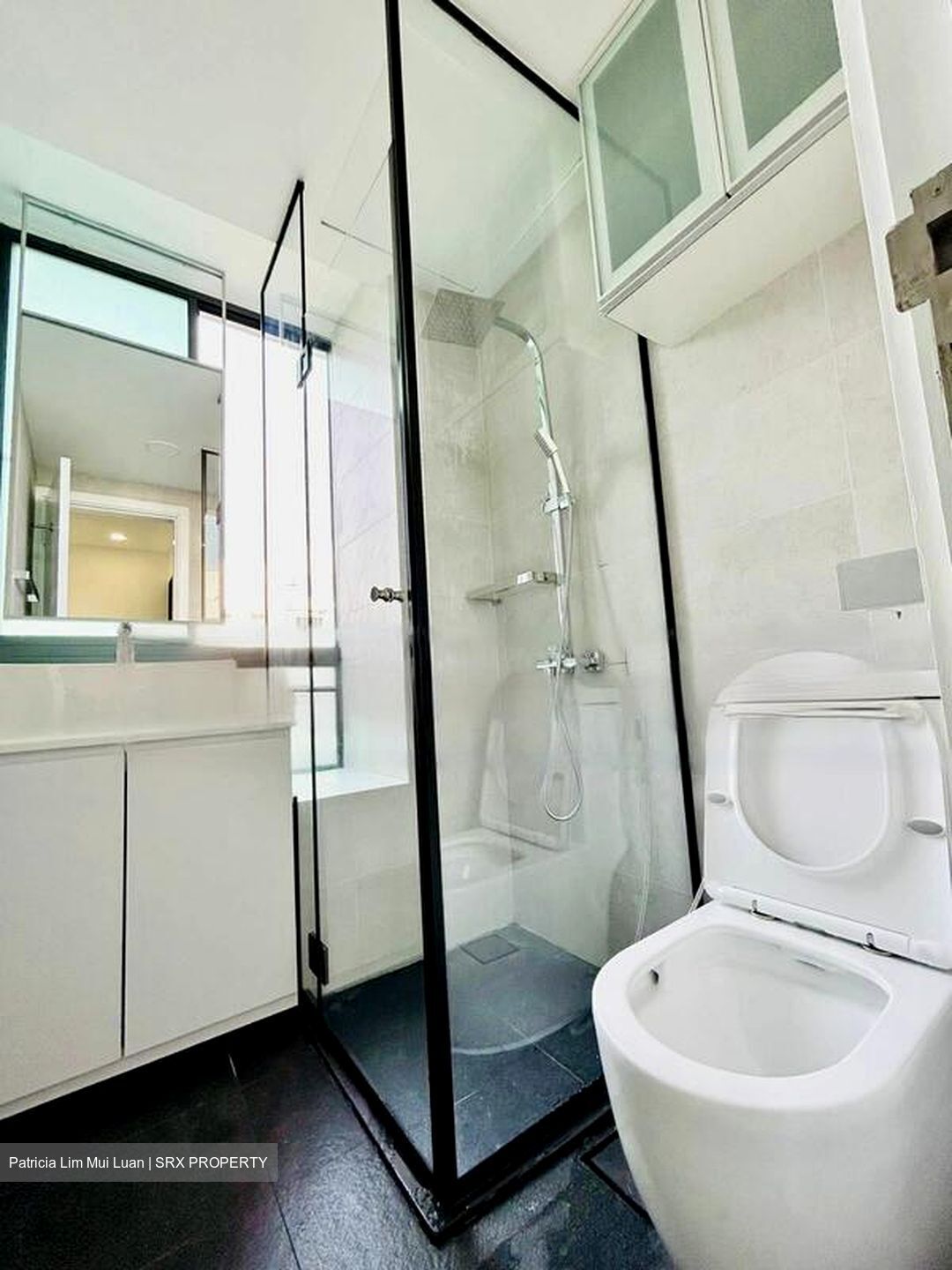 Haig Residences (D15), Apartment #587678031
